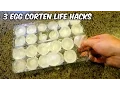 3 Egg Carton Life Hacks