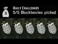 Blackberry Locations RDR2 Online Daily Challenge Location Guide Red Dead Redemption 2 Online