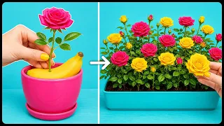Transforme seu jardim em um paraíso florido com estes truques