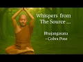 Download Lagu Surya Namaskar with Ananda   Whispers from the Source VEDANTIKALA