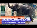 Download Lagu Banyak Jalur Gelap, Ragunan Wajibkan Pengunjung Malam Sewa Kendaraan