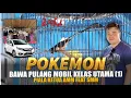 Lagu JUARA 1 KELAS UTAMA - Murai Batu POKEMON Bawa Pulang Mobil - Randy Solo