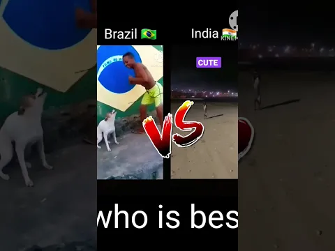 Brazil🇧🇷 dog dance V/S india🇮🇳 dog dance #india #dog dance