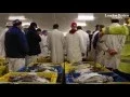 James Meek The decline of fishing in Britain