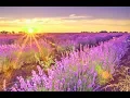 Download Lagu GOOD MORNING MUSIC 528Hz ➤ Positive Morning Thoughts - Positive Thinking - Morning Meditation Music