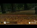 Charli xcx - Camera (Lyric Video)