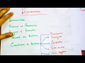 Prokaryotes Full Chapter Class 11 Prokaryotes chapter Summary Classification of Bacteria in hindi