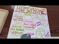 HOW TO MAKE ANCHOR CHARTS