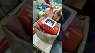 Putian Single Phase Vibrating Motor Upgraded With Capacitor Protection Cover  Putian Single Phase Vibrating Motor Upgraded With Capacitor Protection Cover