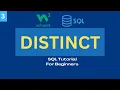 SQL Tutorial for Beginners - 2024 DISTINCT W3 Schools SQL Certification