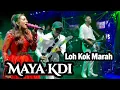 Download Lagu LOH KOK MARAH - MAYA KDI | cover