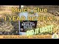 Mulch Glue on Pea Gravel - 1 Year Review S5E5