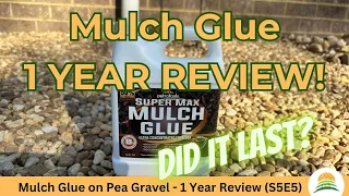 Mulch Glue on Pea Gravel - 1 Year Review S5E5