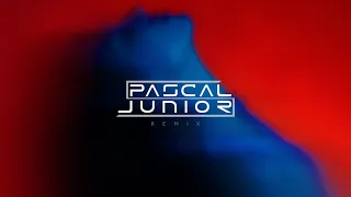 Pascal Junior x Papa Jr. - Ploaia | Remix