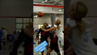 Michigan Premier