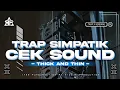 Download Lagu LAGU CEK SOUND TRAP X SIMPATIK MUSIK STYLE TERBARU ‼️THICK AND THIN • SANGAT KALEM UNTUK CEK SOUND