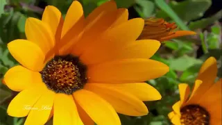 for all seasons