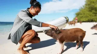 The “Other” Pig Island in the Bahamas— Sailing Uma [Step 154]