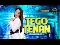 Download Lagu TEGO TENAN - Difarina Indra Adella - OM ADELLA