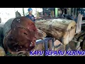Download Lagu 2 BATANG KAYU BESAR SEPARU KERING