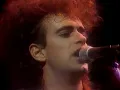 Festival de Viña 1987, Soda Stereo, Cuando pase el temblor