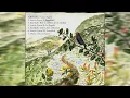 Download Lagu Imbaru - Acacia Caven (2021) (Full Album)