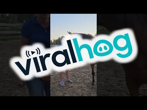 Trainer Builds Special Bond With Horse || ViralHog