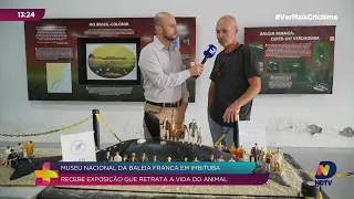 Artista de Imbituba retrata vida da baleia-franca em nova exposição