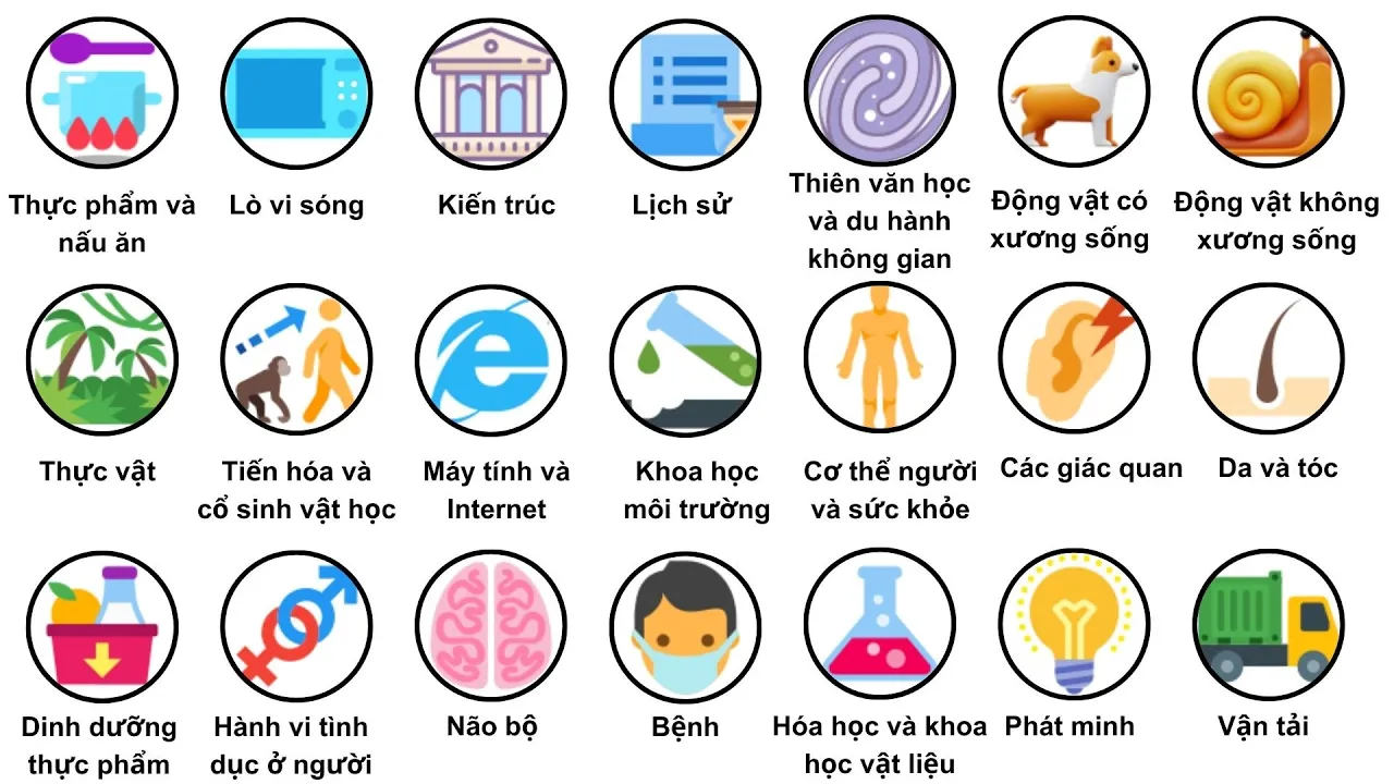 Outline Video Tìm hiểu những Quan Niệm Sai Lầm phổ biến trong 12 phút
