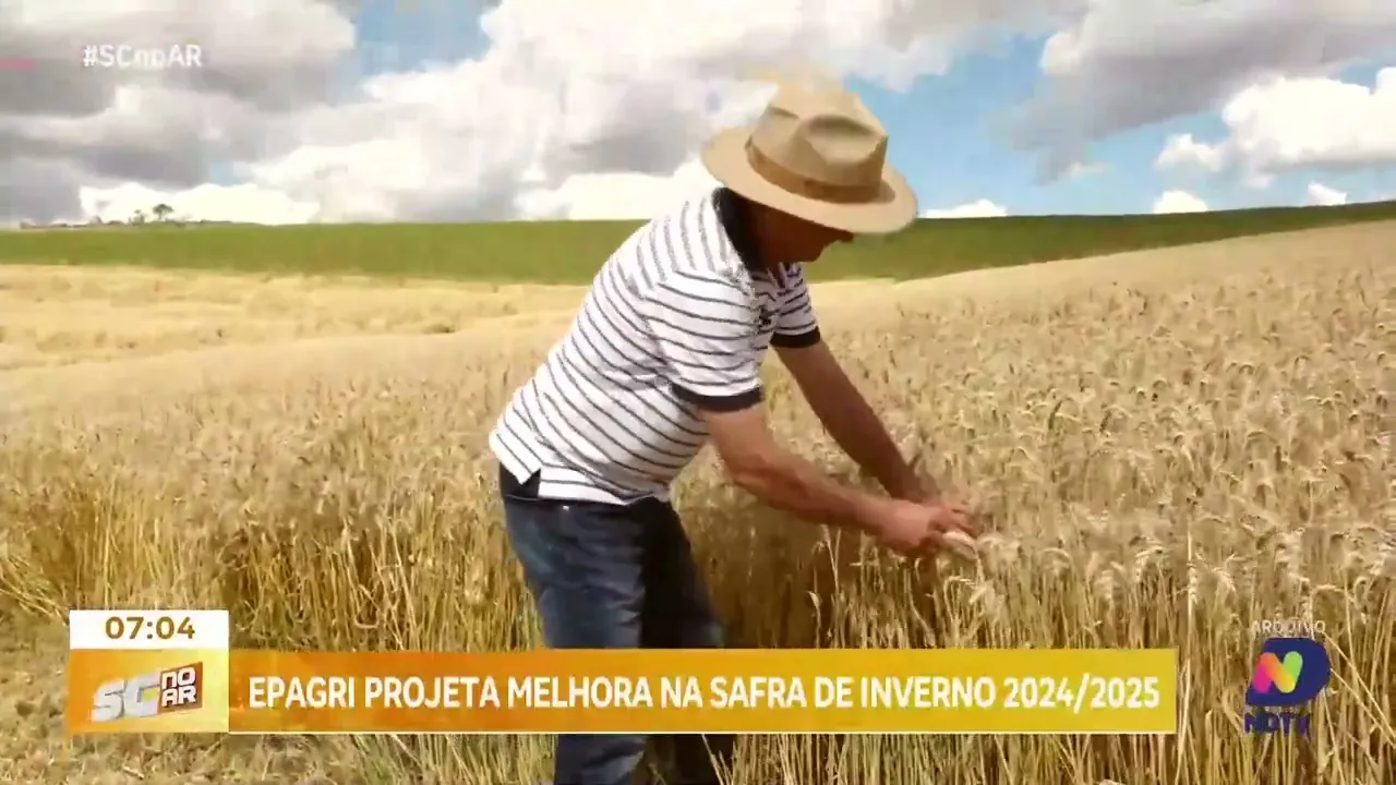 Epagri projeta melhora na safra de inverno 2024/2025