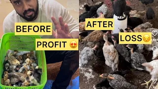 koli kunju series profit or loss full business explanation video paakama business start panatheng