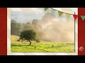 Alex Hepburn - Miss Misery