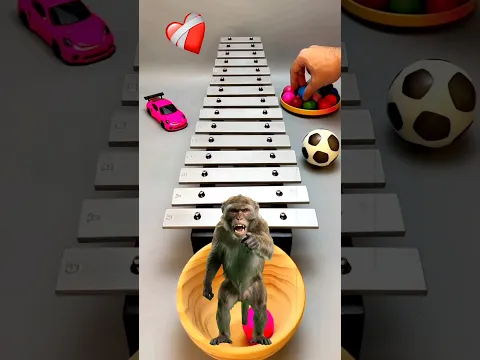 Angry Monkey!