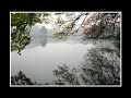 Forever-autumn- 