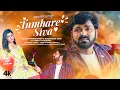Download Lagu Pawan Singh: Tumhare Siva (Video) | Khushboo J | Swati C | Nikhil Vinay, Basahi | Faaiz A, Sameer