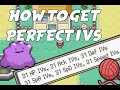 Perfect IVs Guide Pokemon Radical Red
