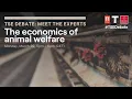 Download Lagu TSE Debate - Meet the Experts: The economics of animal welfare