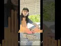 Download Lagu Thomas arya__ usai sudah