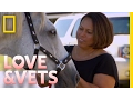 A Day on the Farm Love Vets