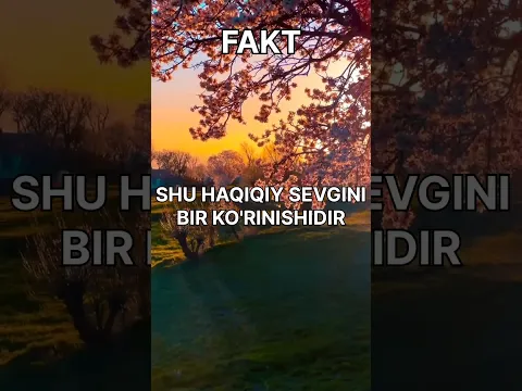😱SIZ BUNI BILARMIDINGIZ❓️ #faktlar #psixologmaslahati #sevgi #love #shorts #qizlar #psixologiya