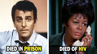 Mannix 1967 1975 Then and Now 2025 See How the Cast Changed