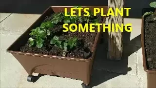 RAISED GARDEN BED