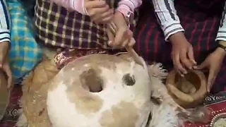 و هانا جينا كانك على الجيان هانا جينا صوت رائع  و هانا جينا كانك على الجيان هانا جينا صوت رائع