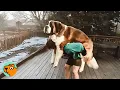 Woman Raises St Bernard Bigger Than Her Look At Him Now Cuddle Buddies