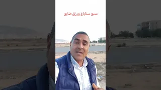 سبع سناياع ورزق ضايع 