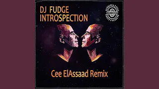 introspection cee elassaad introspective reprise 