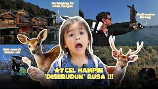 Hari terakhir di jepang, malah ada kejadian... 😭