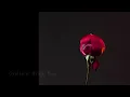 Toshifumi Hinata - Garden of Winter Rose - ‘Angels in Dystopia’