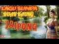 Download Lagu Lagu sunda jaipong buah kaung