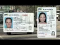 New MN IDs Make Debut
